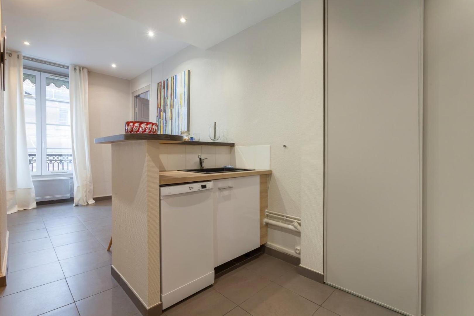 Colombe - Location T2 - Lyon 2 Apartman Kültér fotó